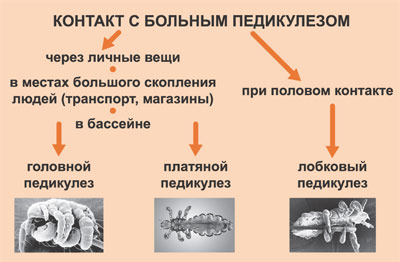 11-06-25-03.png