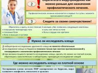 Алгоритм-действий-при-укусе-клеща-2025