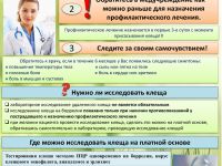 Алгоритм действий при укусе клеща